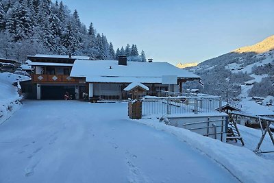 Appartement am Berghang im Silbertal