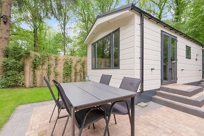 Schönes Chalet in Drenthe mit...