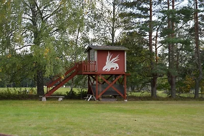 Ferienhaus mit 2 Schlafzimmer