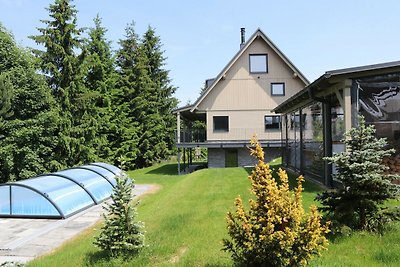 Villa in Dolni Morava met sauna