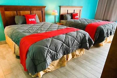 Premium 2 Queen Bed