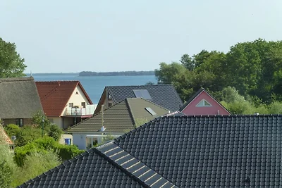 Strandläufer OG