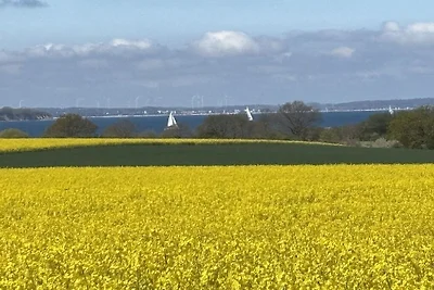 Kiekut Ostseeblick