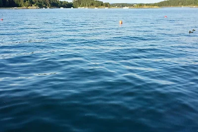 9 Personen Ferienhaus in NESØYA-By Traum
