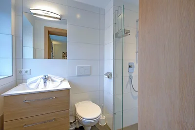 Ski-in, Ski-out Brunner Apartment,...