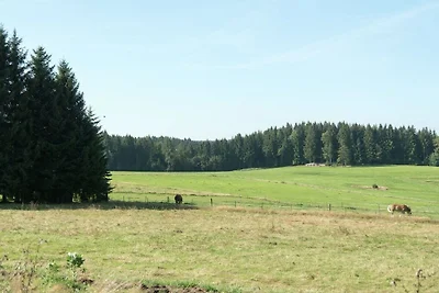 Ferienhaus mit 2 Schlafzimmer