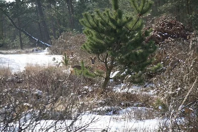 Ferienhaus in Rømø mit Schwimmbecken