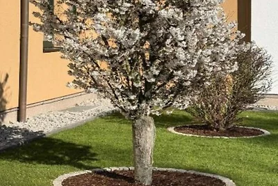 Familienzimmer im Kaiserhof Feldberg