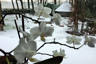 Witte berg aan de Bungeweg