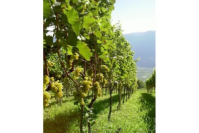 Chardonnay -  Santlhof