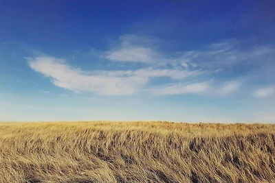 8 Personen Ferienhaus in Frøstrup-By Traum