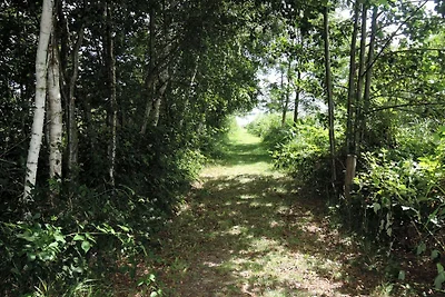 Entspannender Naturaufenthalt der Küste von...