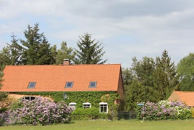 Ferienhaus mit 3 Schlafzimmer