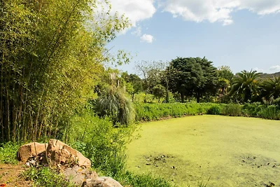 Rustikales Alentejo-Bauernhaus mit Pool