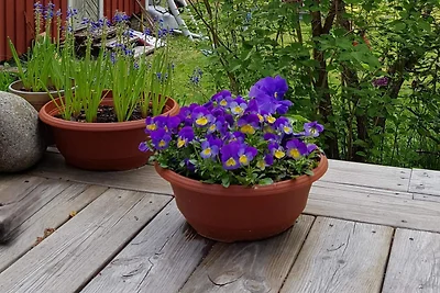 4 Sterne Ferienhaus in MARIEFRED