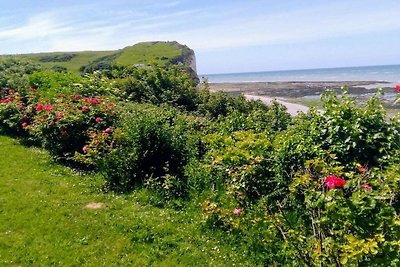 - Ein Garten am Meer