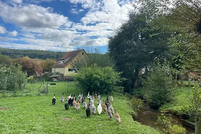 Ferienhaus am Krechenbach