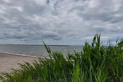 4 stelle case ad GOTLANDS TOFTA-By Traum