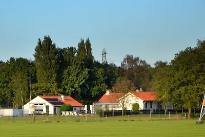 Ferienhaus in Oisterwijk mit Schwimmbad