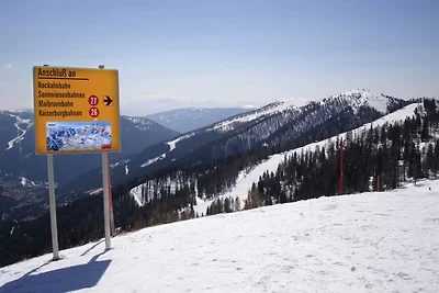 Ferienhaus in Skigebiet von Bad...