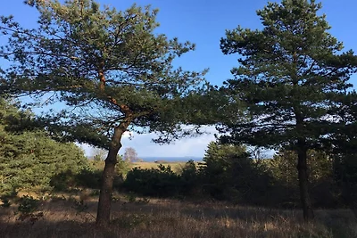 7 Personen Ferienhaus in Knebel-By Traum