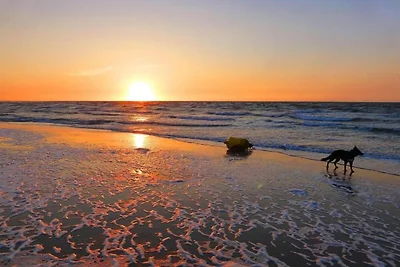 Einzigartiges Strandhaus mit Spülmaschine, in...