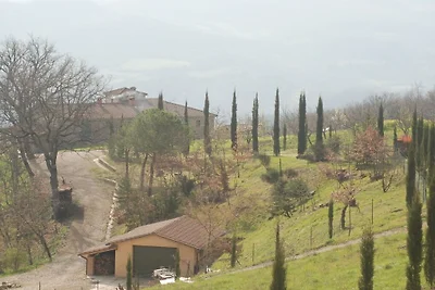 Villa in Poppi mit Schwimmbecken