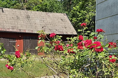 4 persoons vakantie huis in ASARUM