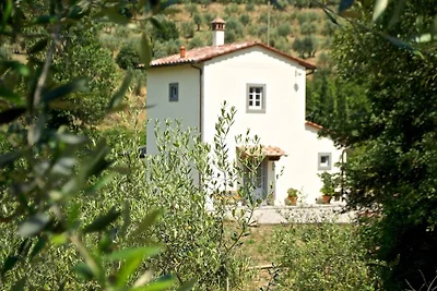 Angenehme Villa in Cortona mit privatem Pool