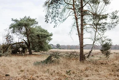 Chalet bij Eindhoven in een Groene Oase