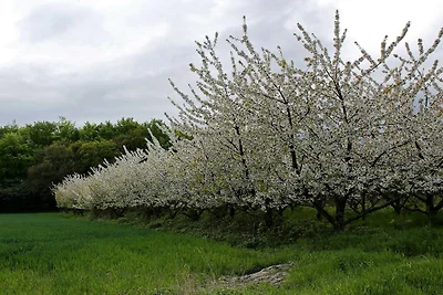 Luxus-Poolvilla in Lohals -- By Traum...