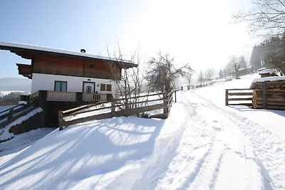 Apartment in Hüttau nahe Skigebiet