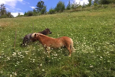 Ferienwohnung am Kreischberg