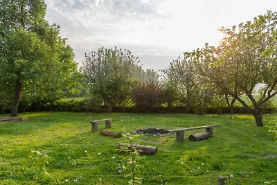 Steinbeck in der Gutsscheune Thorstorf