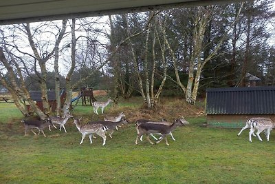 10 Personen Ferienhaus in Blåvand