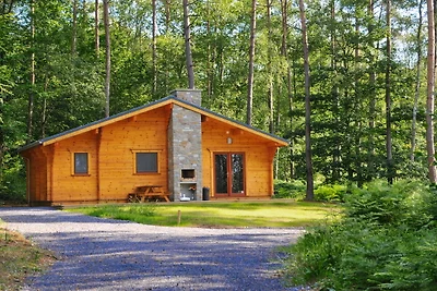 Chalet in legno con stufa a legna