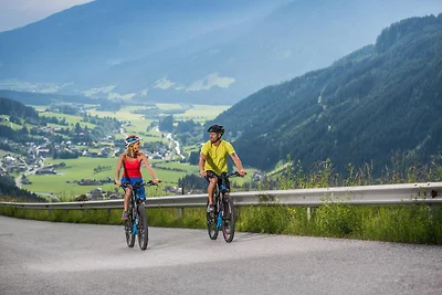Appartement in Wald im Pinzgau