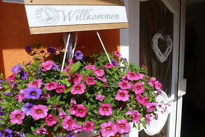 Feriendomizil Elbsandsteingebirge