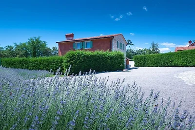 Villa in Nedescina mit Schwimmbecken