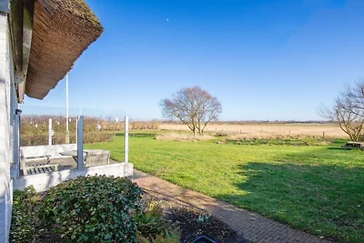 Vakantiehuis in Den Burg met zwembad