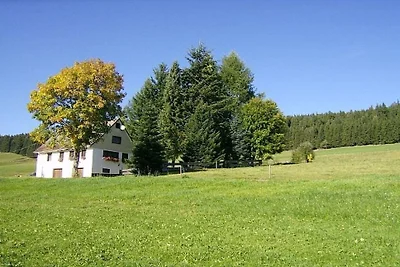 Ferienhaus mit 1 Schlafzimmer