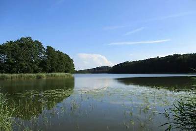 Ferienhaus Kołczewo nahe Seen und Wäldern