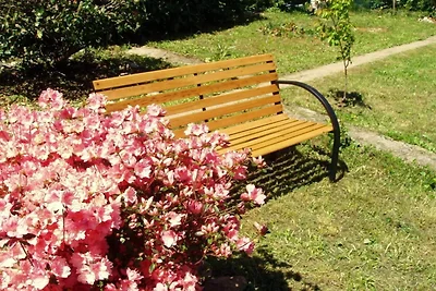 Charming Apartments Kestenovi Dvori - Studio ...