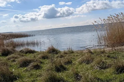 Wohnung in Lütow nahe Ostseestrand