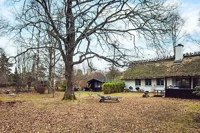 9 Personen Ferienhaus in Frederiksværk