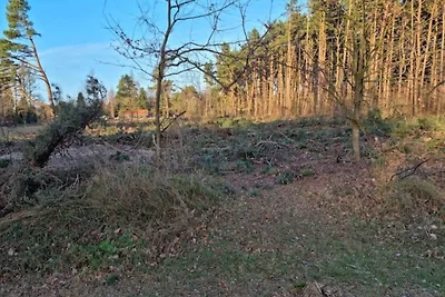 4 Personen Ferienhaus in Væggerløse-By Traum