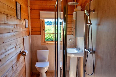 Gerהumiges Ferienhaus in Okehampton, Keine...