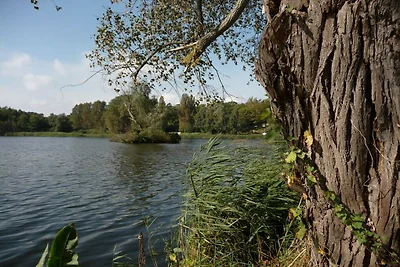 Parter Tannengrundu
