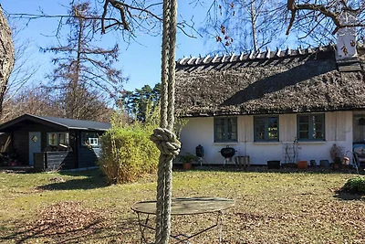 9 Personen vakantie huis in Frederiksværk