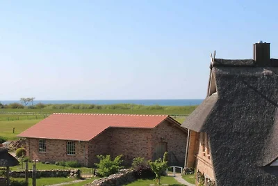 Sedia da spiaggia (casa sulla spiaggia)